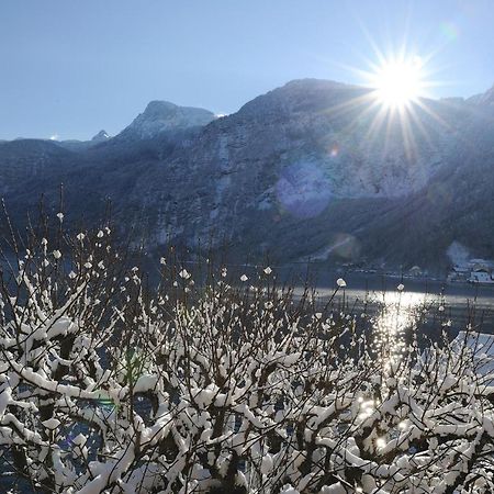 Braeugasthof Халстат Екстериор снимка